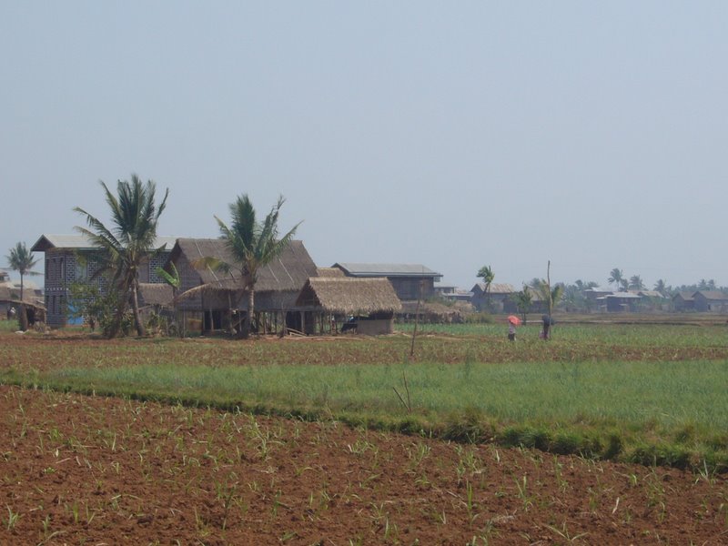 Travel - Myanmar - Inle Lake - Second Boat Trip - Back to The Boat